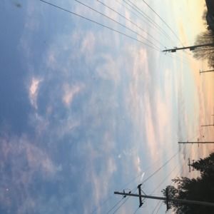 Meet your Posher, Turtle x